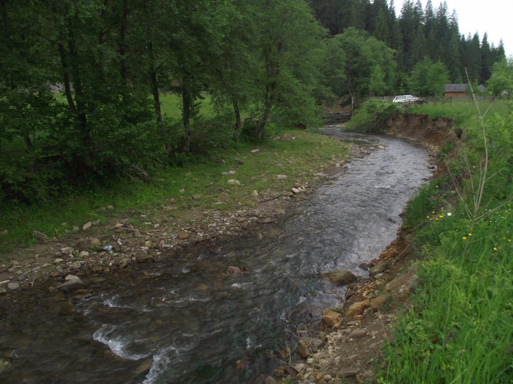 Cabana Piatra Runcului Vatra Moldoviţei Exterior foto