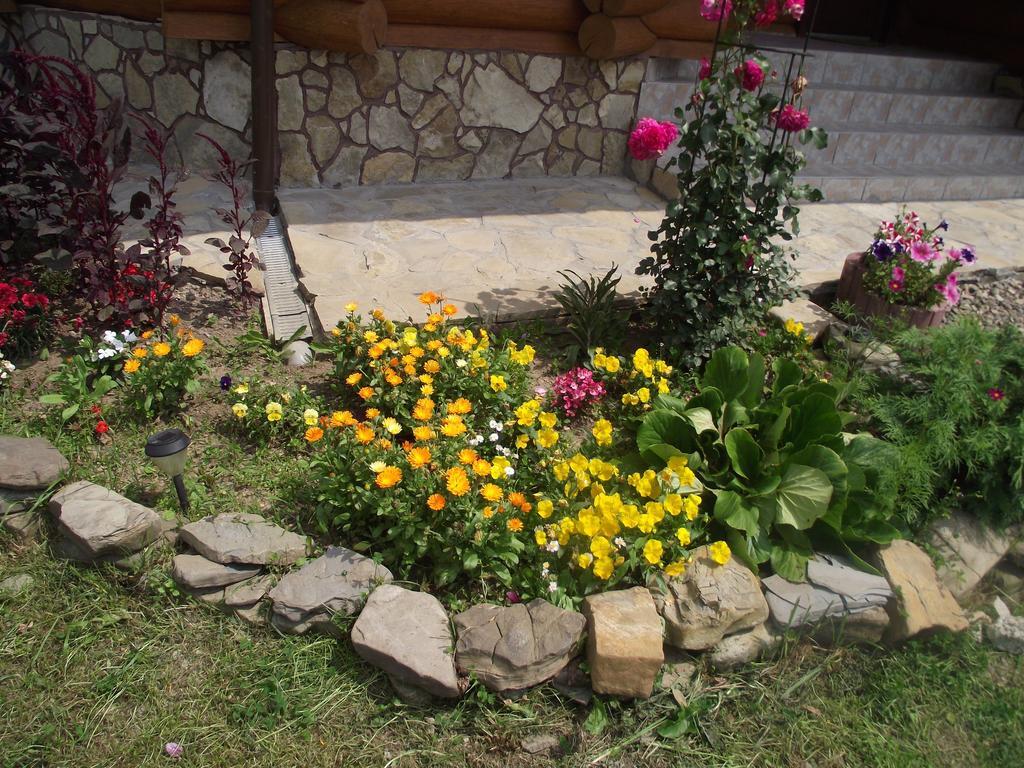 Cabana Piatra Runcului Vatra Moldoviţei Exterior foto