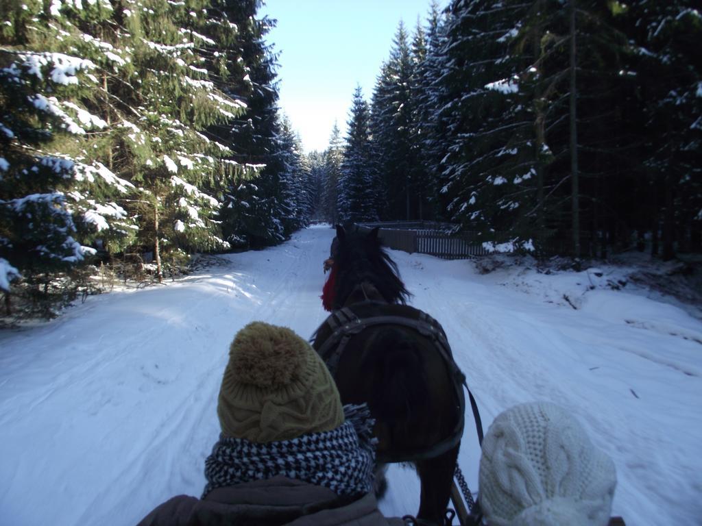 Cabana Piatra Runcului Vatra Moldoviţei Exterior foto