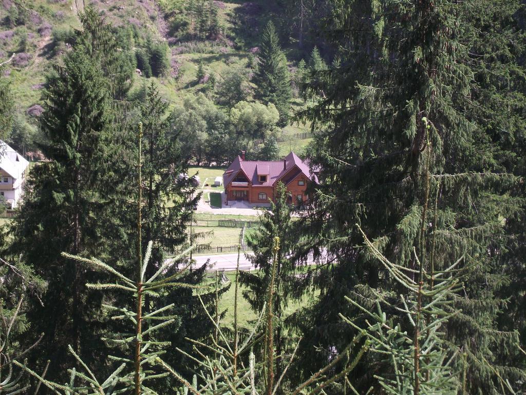 Cabana Piatra Runcului Vatra Moldoviţei Exterior foto